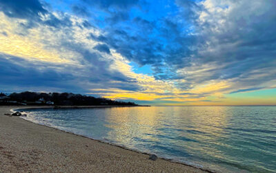 North Fork Civics Survey Results